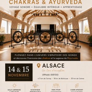 WORKSHOP Gongs - Chakras - Ayurveda